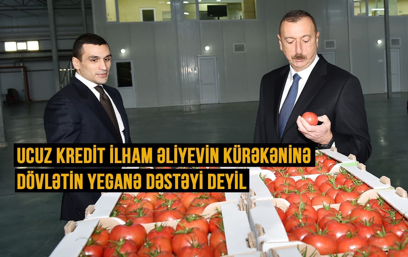 Səməd Qurbanov və İlham Əliyev «Baku Agropark» MMC-yə məxsus istixana kompleksində. 4 dekabr 2017